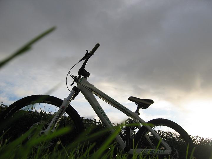 My Bike - Speccar