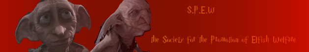 Banner 3 - nammigris8