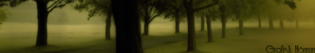 Banner Keppni - Skógur