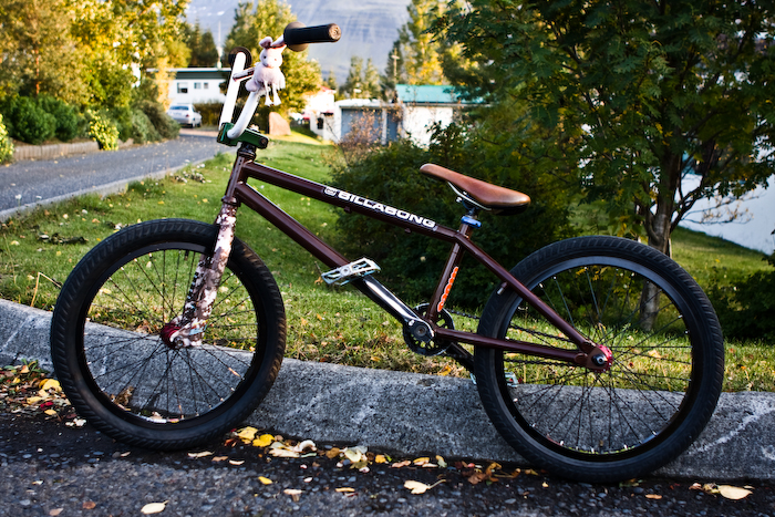 Bike check