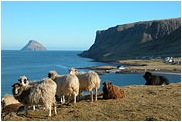 Hitamál í þjóðfélaginu!