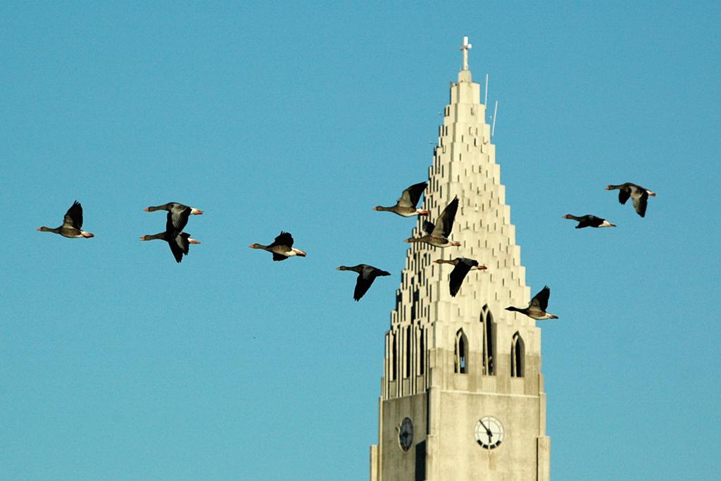 Hallgrímskirkja