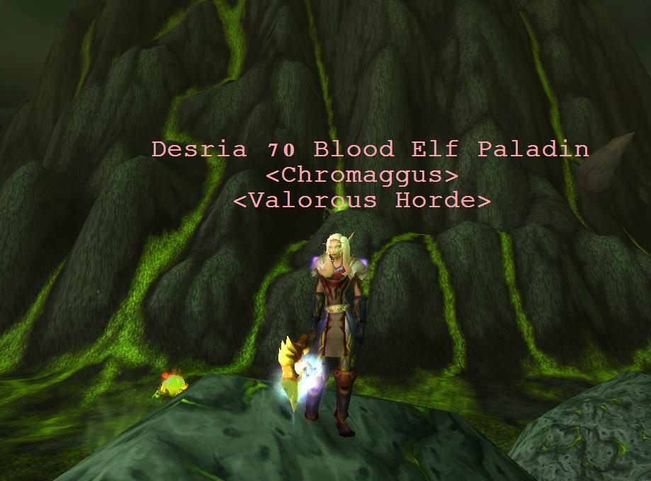 Paladininn minn