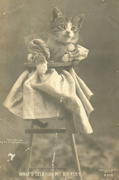 Original LOLcat