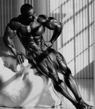 Flex Wheeler