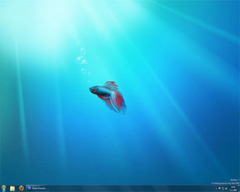Windows 7