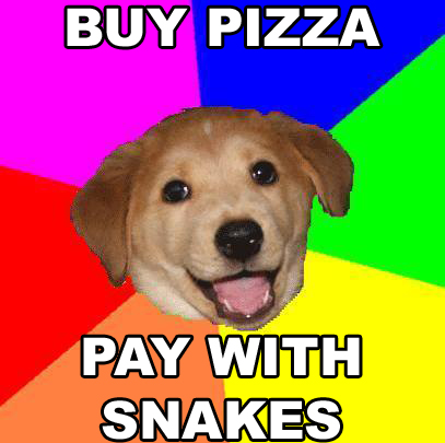 advice dog!