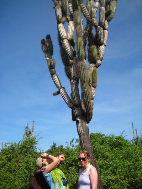 Galápagos