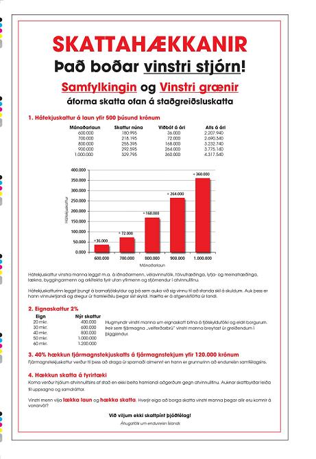 Heilsíðu auglýsing í Morgunblaðinu nýlega