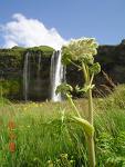 Það sem mér finnst um sumarið