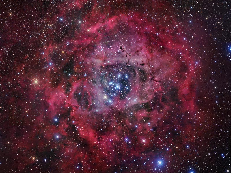 The Rosette Nebula