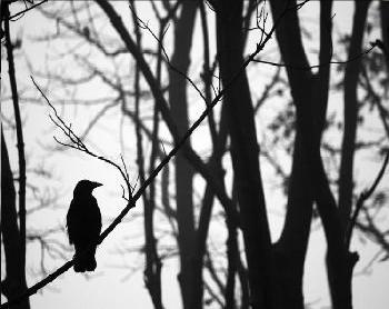 Winter is coming