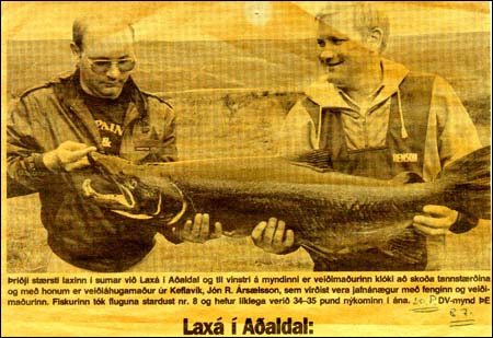 Laxá Í Aðaldal