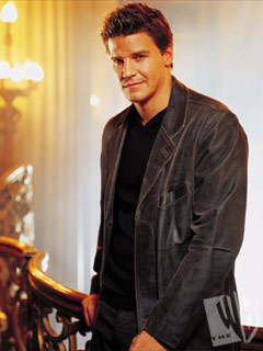 David Boreanaz sem Angel/Angelus