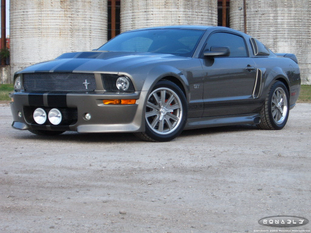 2005 ronale mustang(eleanor)