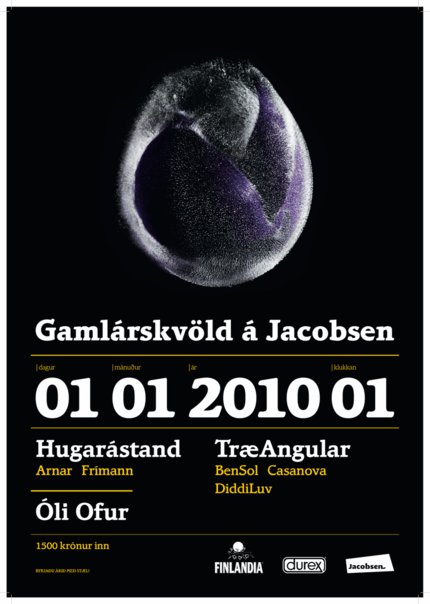 Gamlárskvöld 2009