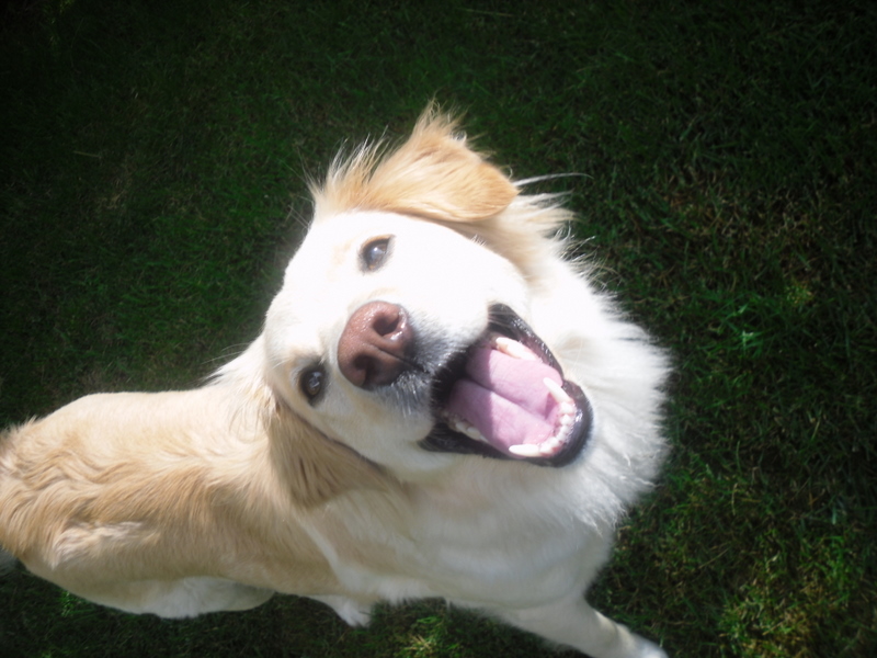 salka :]