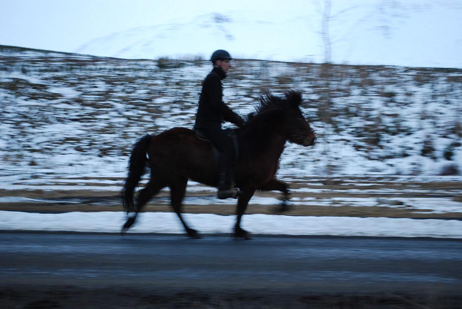 Vinur frá Brimnesi til sölu :)