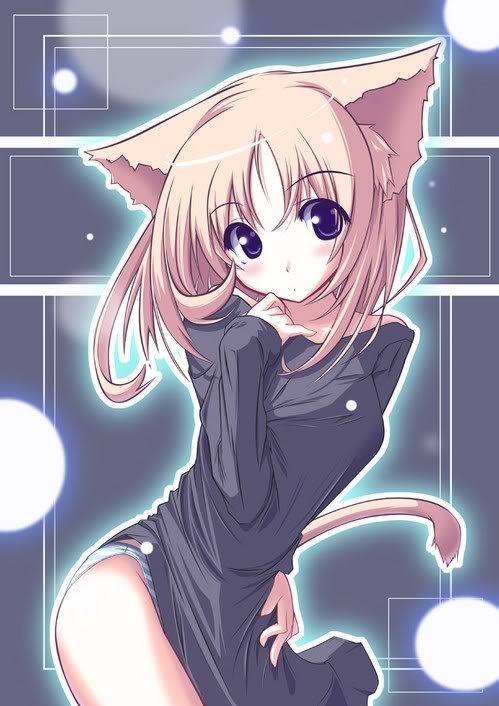 neko n_n