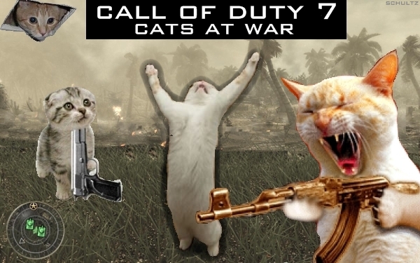 CALL OF DUTY 7-CATS AT WAR!!!!