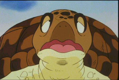 Turtle