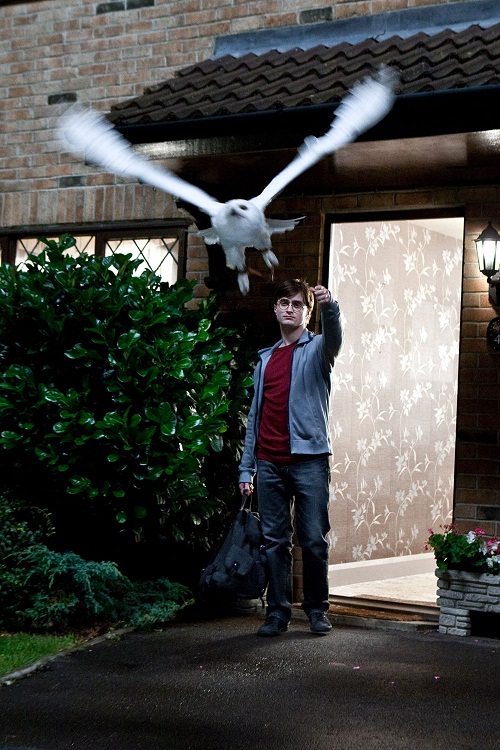 Harry kveður Hedwig