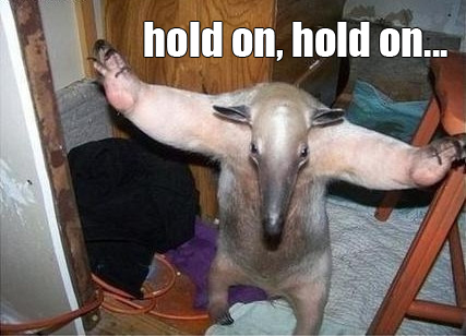 hehehehhe.