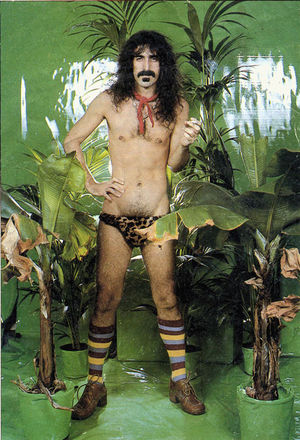 Meistari Zappa