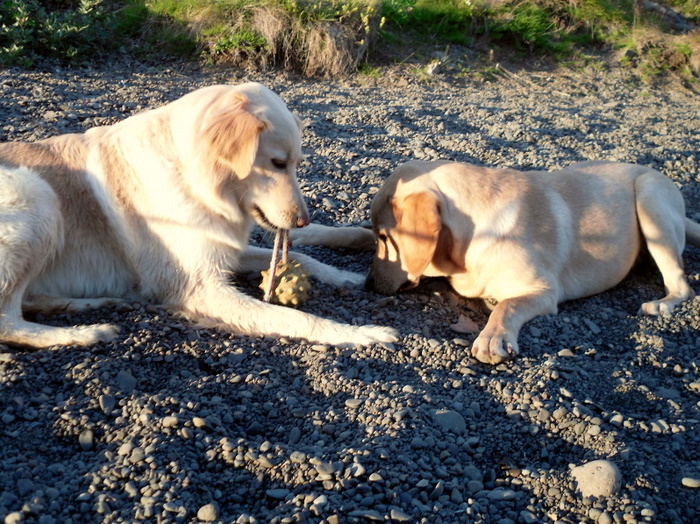 Salka & Mýra :)