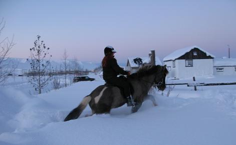 Enginn smá snjór í hesthúsunum í Hlíðarfjalli á Akureyri =)