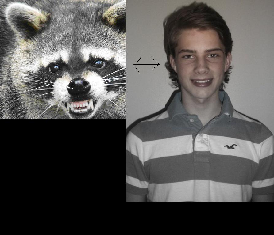 RacooN ! AcoX~