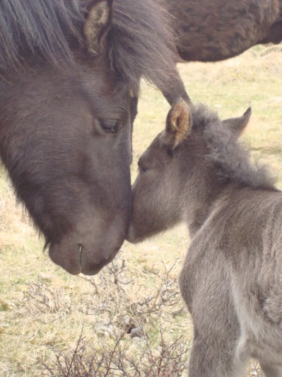 Father and son