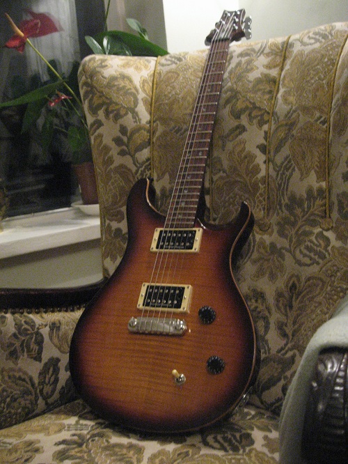 PRS SE custom 22