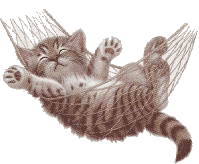 Kettir
