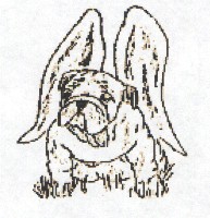 Hundar