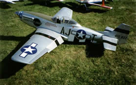 Flug
