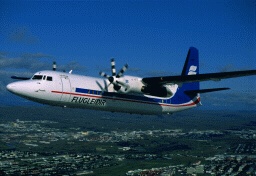 Flug