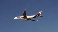 Flug