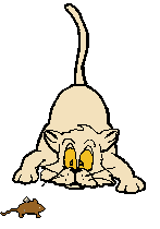 Kettir