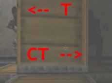 Half-Life