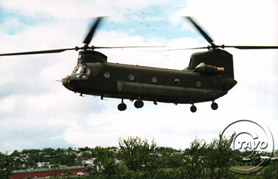 Flug
