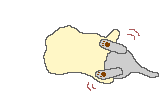 Kettir