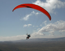 Flug