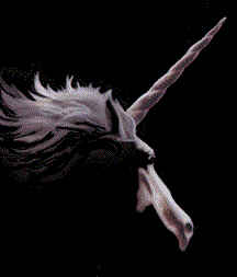 Hestar