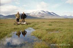 Veiði