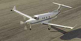 Flug