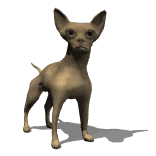 Hundar