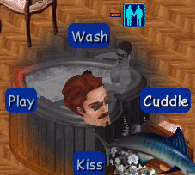 The Sims