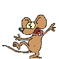 Brandarar