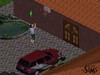 The Sims